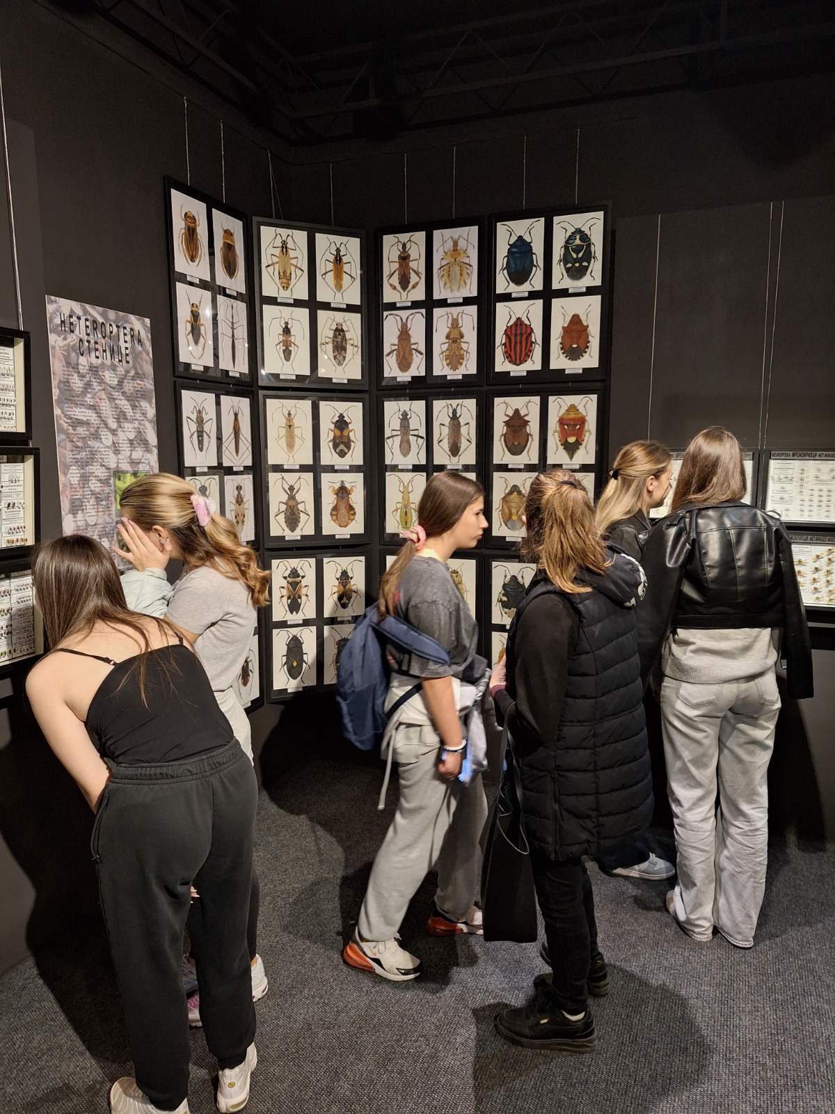 Poseta izložbe Prirodnjačkog muzeja Beograda